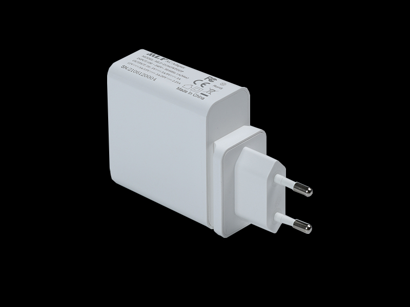 D19 PD45W EU plug 